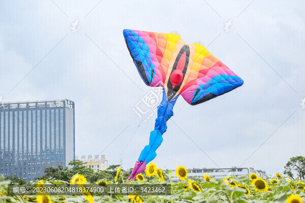 花田里的超大多彩風(fēng)箏