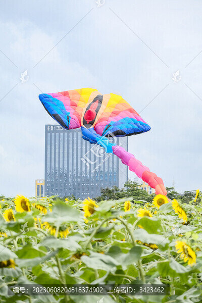 花田里的超大多彩風箏