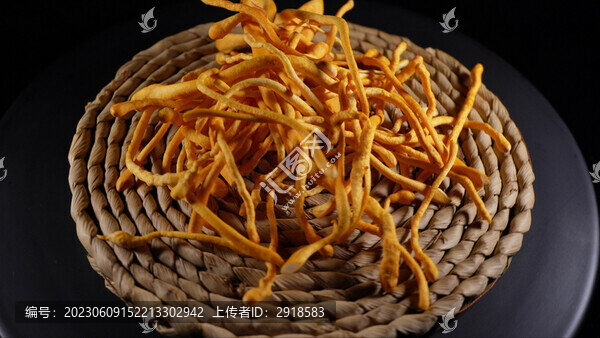 養(yǎng)生健康蟲草花