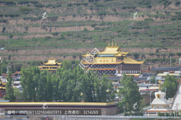 卓尼縣城夏景