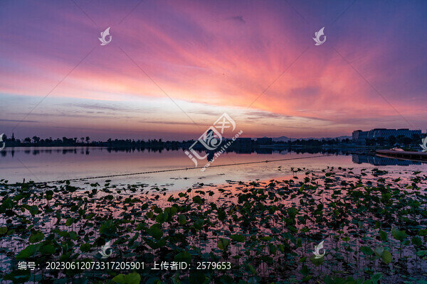 成都東安湖濕地公園朝霞