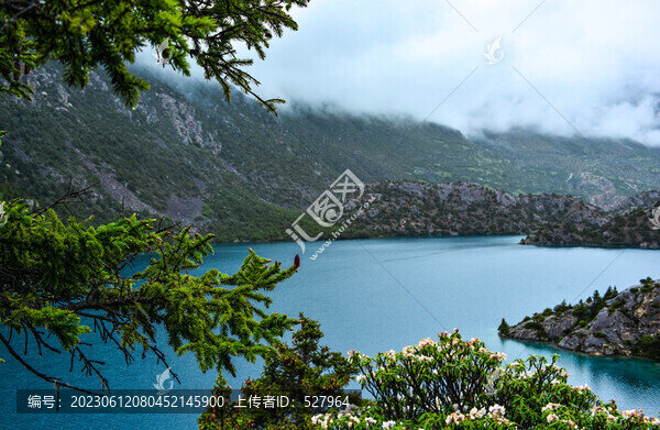 松枝三湖色