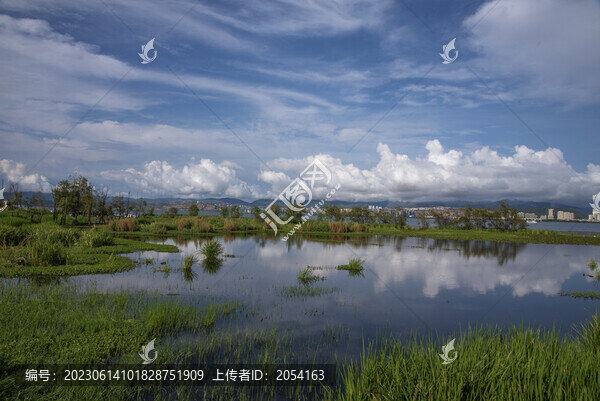 云南大理洱海濕地公園風(fēng)景