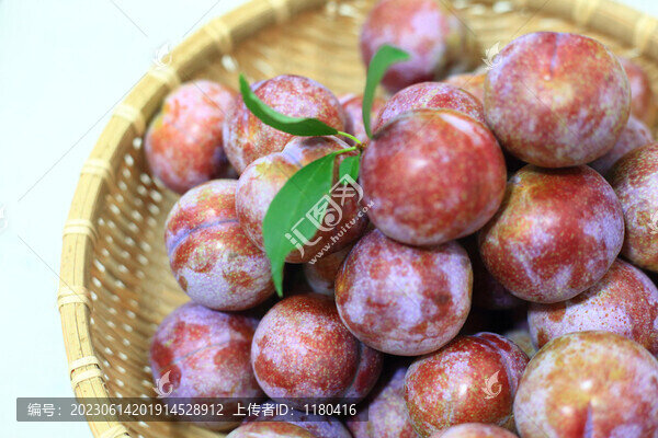 錢排三華李