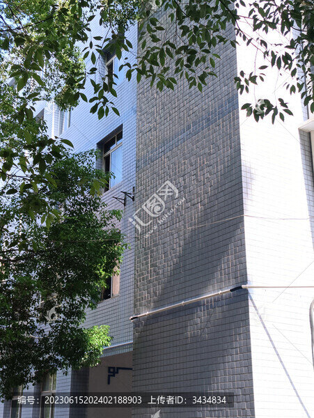 校園風(fēng)光