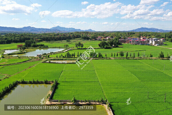 江西永豐鄉(xiāng)村風(fēng)光