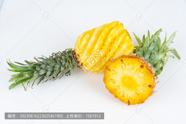 菠蘿