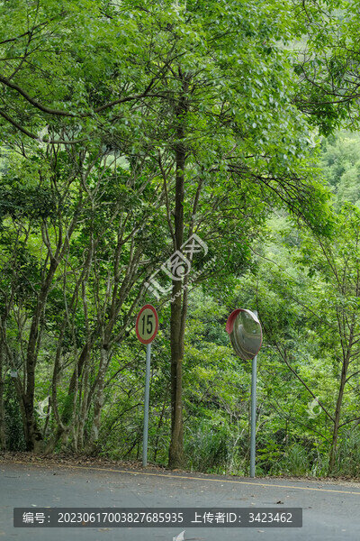 馬巒山郊野公園盤山道轉(zhuǎn)彎鏡