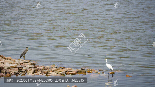 深圳人才公園