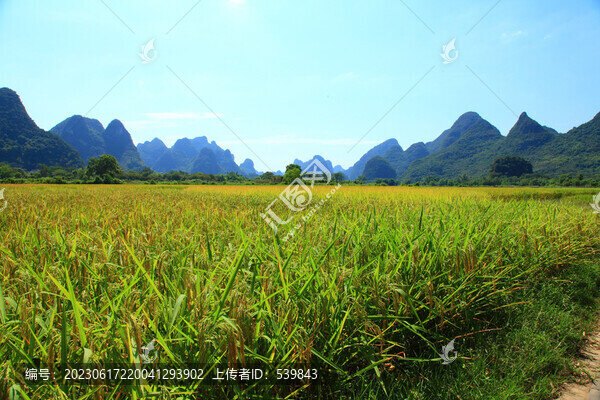 田園風(fēng)光