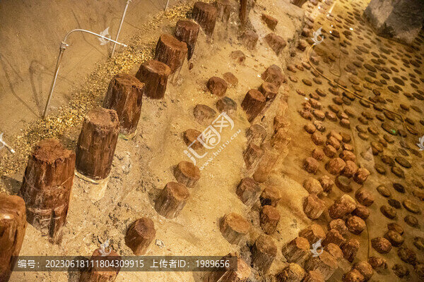 元代地釘
