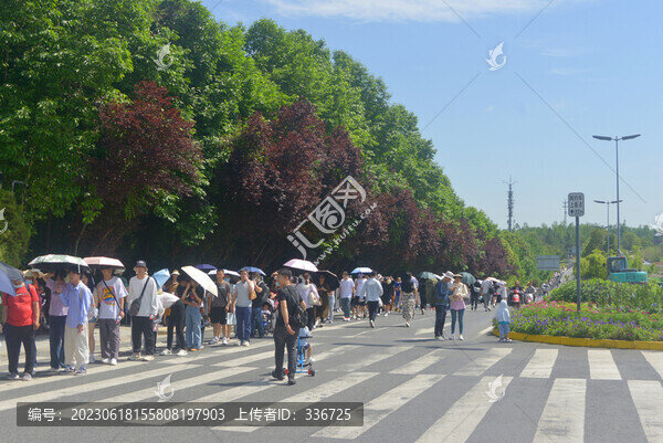 成都大熊貓繁育研究基地游客