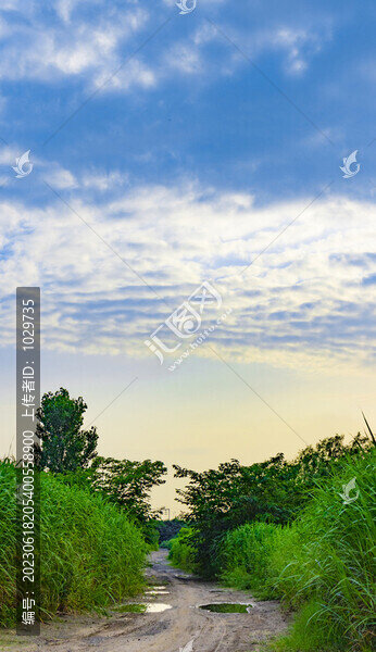 雨后鄉(xiāng)村