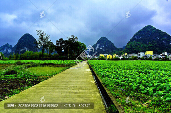 廣西舊州風(fēng)景