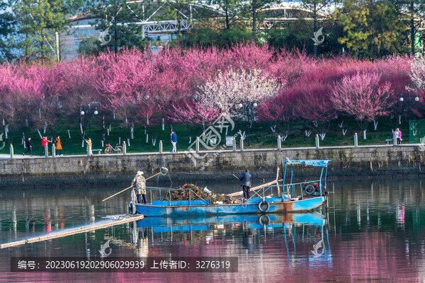 浙江五水共治清理河道