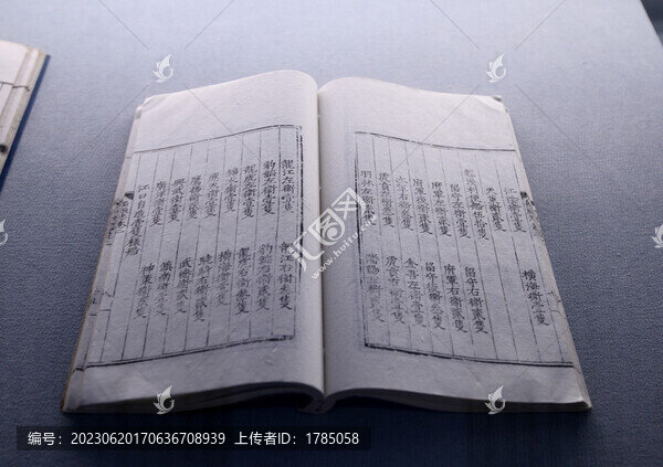 龍江船廠志