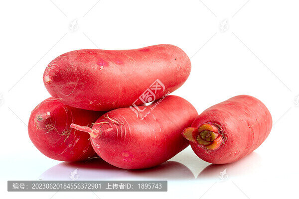 胭脂白心水蘿卜