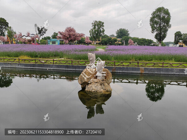 木蘭花鄉(xiāng)