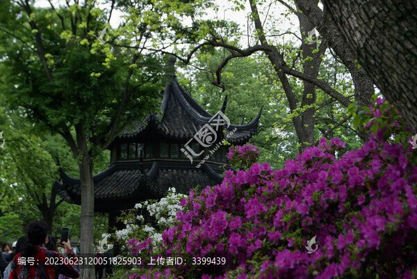 拙政園天泉亭