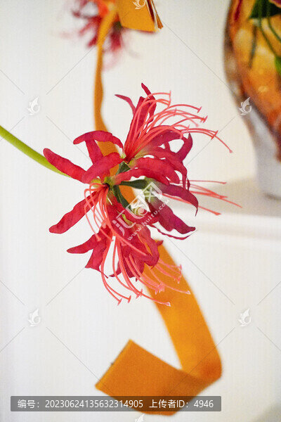 花卉藝術(shù)