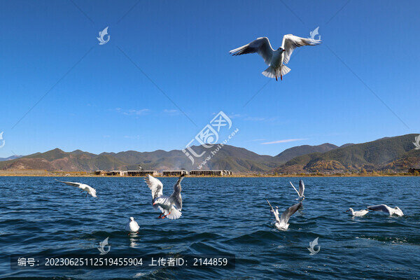 中國云南瀘沽湖風景區(qū)