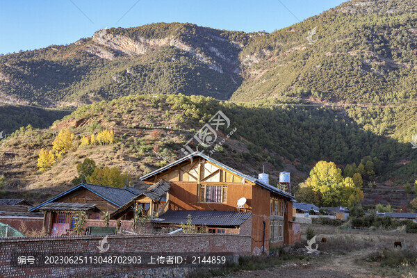 秋天高山上的樹林和人家