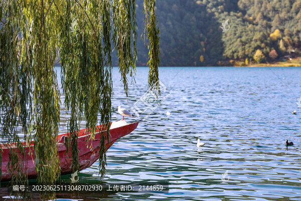 中國云南瀘沽湖里格島