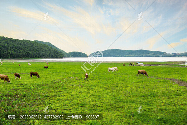 草原風(fēng)光