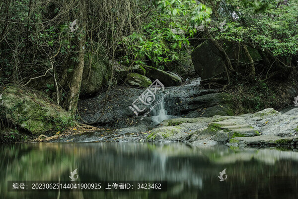 深圳馬巒山郊野公園溪流