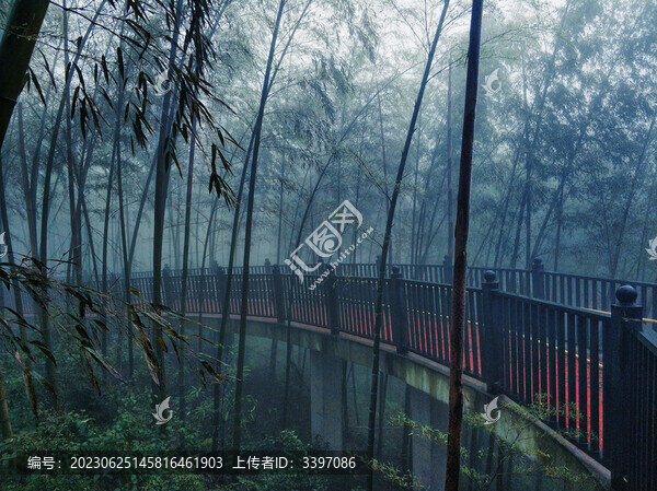 竹林幽徑
