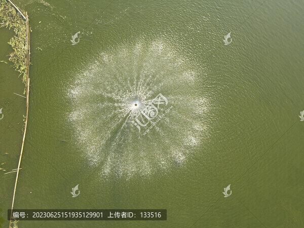 池塘里增氧噴泉水花