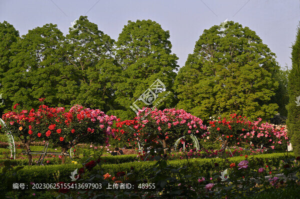 園林景觀