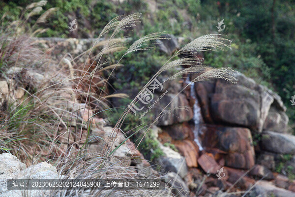 溪流山谷
