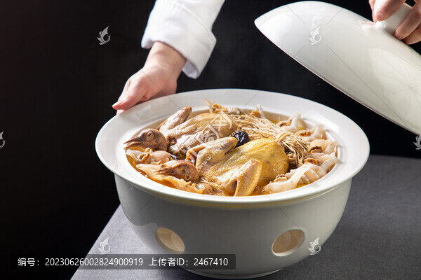 鴿子燉白玉螺