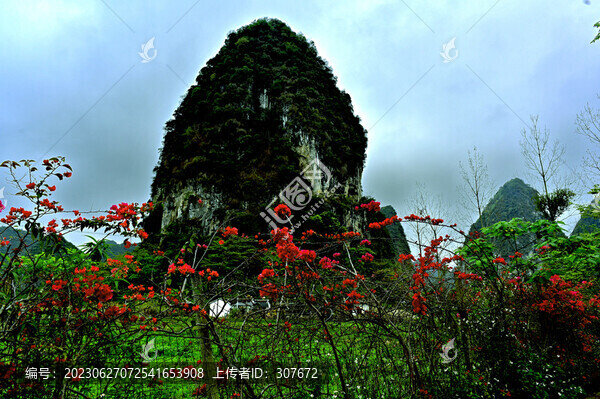 廣西舊州風(fēng)景