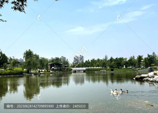 城市公園人工湖