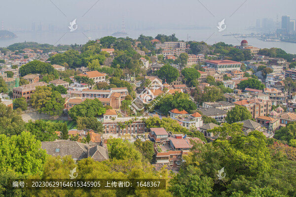 俯瞰鼓浪嶼別墅住宅群與樹木