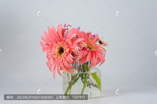 花瓶插花