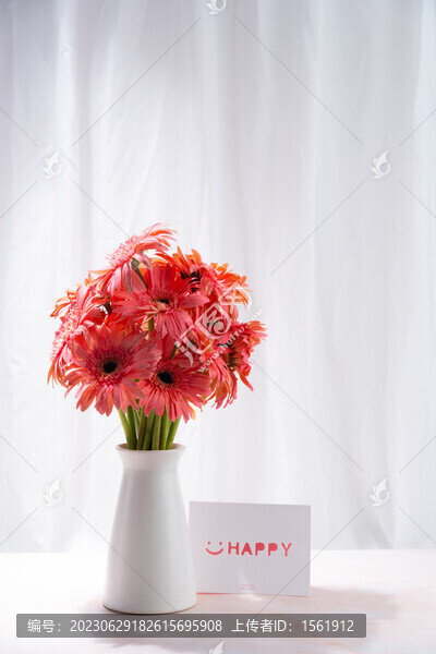 花瓶插花非洲菊