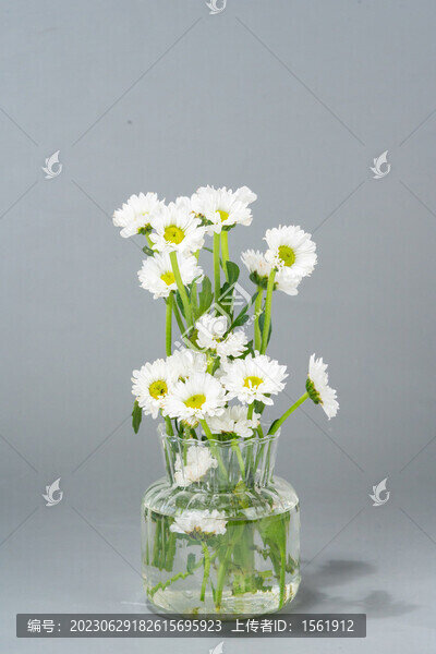 花瓶插花小雛菊雛菊