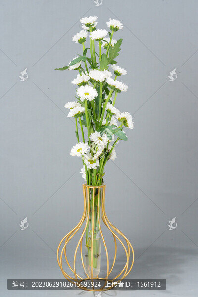 花瓶插花小雛菊雛菊