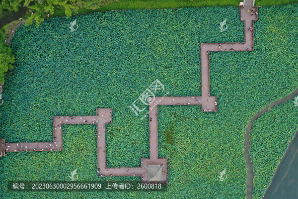 廣西南寧南湖公園