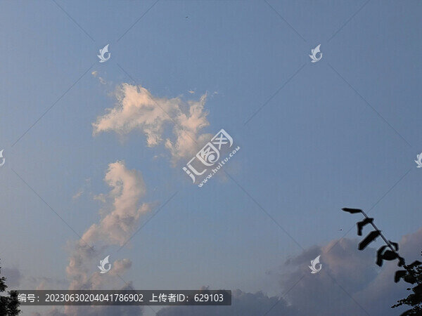 龍形云