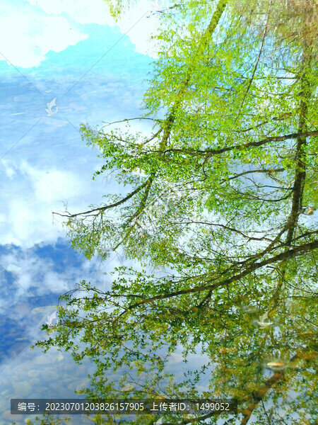 大山里的春色