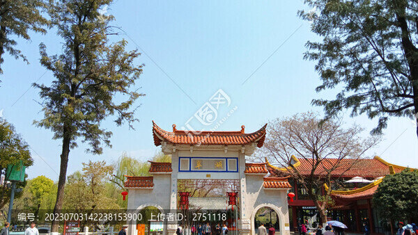 翠湖公園