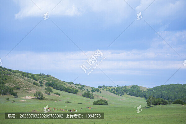 牧場(chǎng)