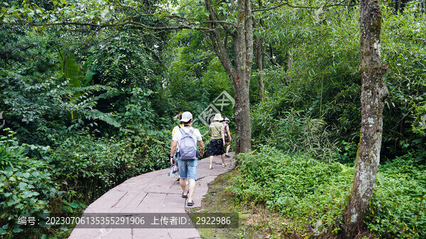 雅安碧峰峽基地