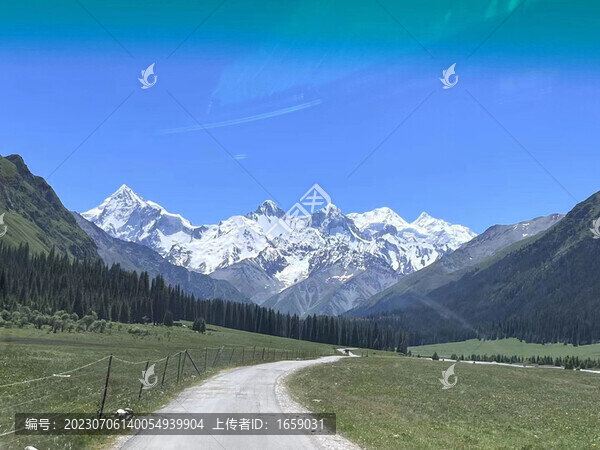 雪山草地