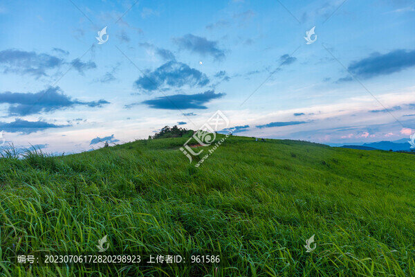 孔明山草甸
