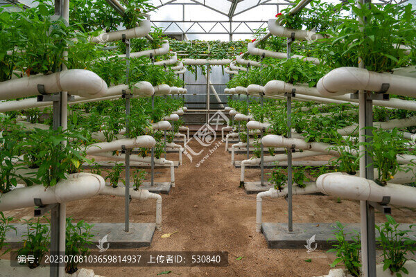 壽光菜博會(huì)溫室大棚